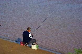 娱乐吃瓜钓鱼视频大全最新,娱乐吃瓜钓鱼视频大盘点，笑料百出，精彩纷呈！